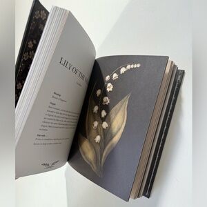 Floriography : A Visual Language of Flowers by Jessica Roux